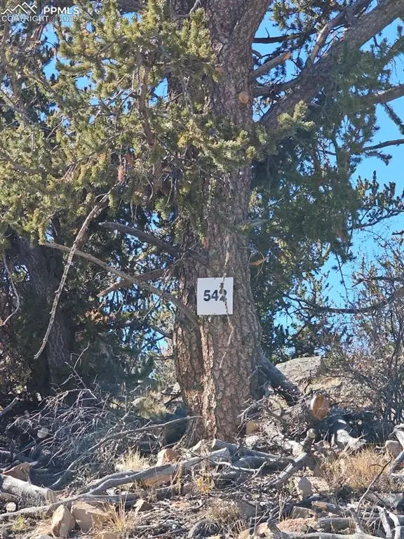 5585 Middle Fork Vista, Fairplay, CO 80440 - Image #2