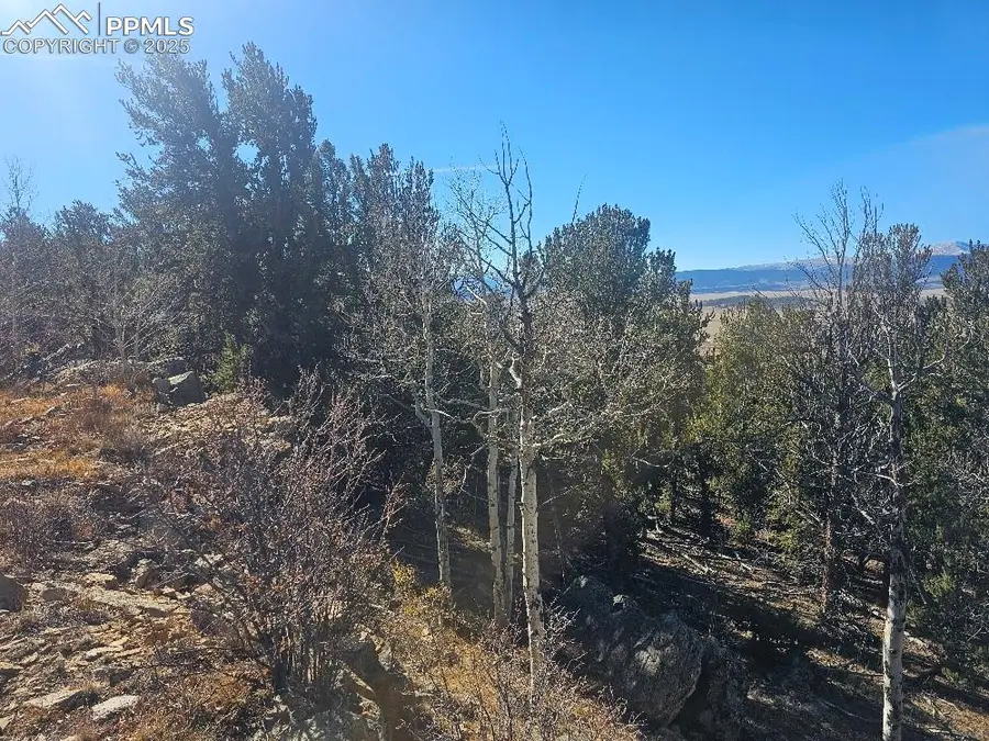5585 Middle Fork Vista, Fairplay, CO 80440 - Image #3