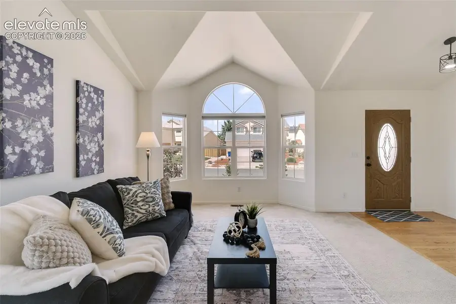 6762 Wild Indigo Drive, Colorado Springs, CO 80923 - #3