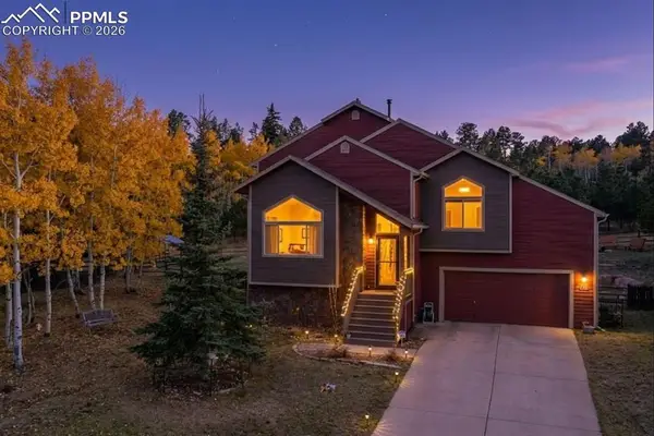 481 Black Bear Trail, Woodland Park, CO 80863