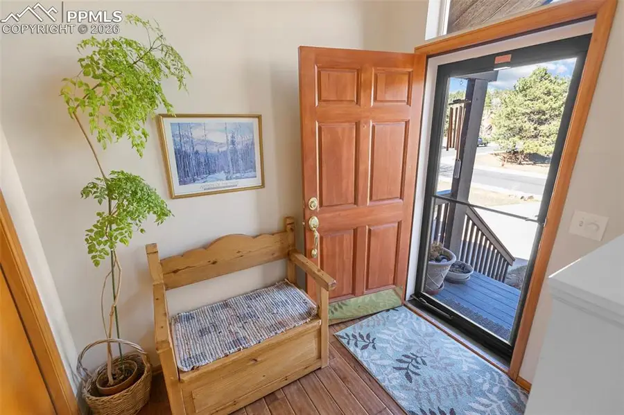 481 Black Bear Trail, Woodland Park, CO 80863 - #3