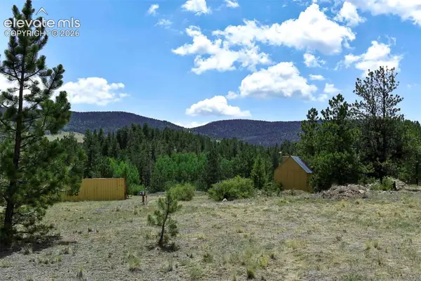 376 Copeland Road, Guffey, CO 80820