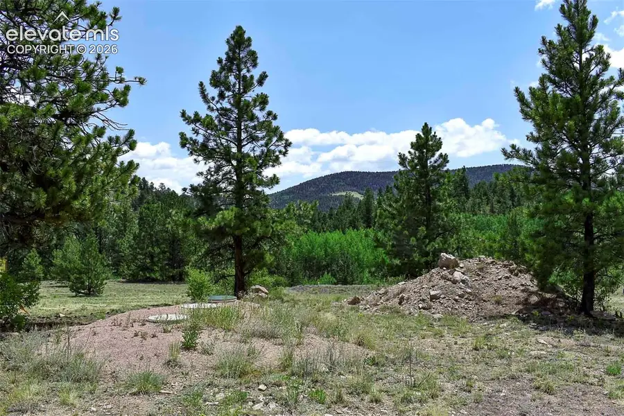 376 Copeland Road, Guffey, CO 80820 - #2