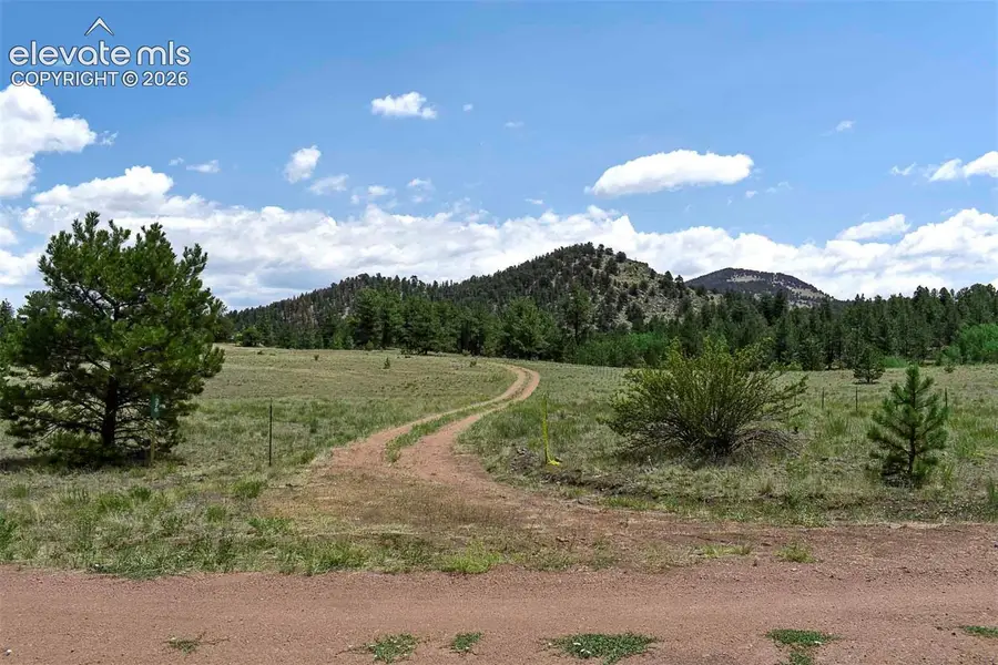 376 Copeland Road, Guffey, CO 80820 - #3