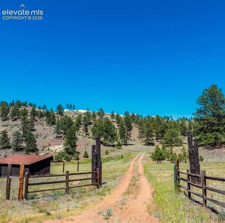 146 Toms Ranch Road, Lake George, CO 80827 - #2