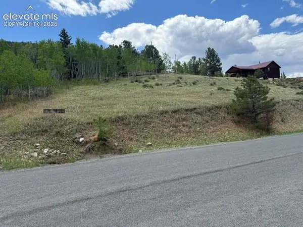 7142 County Road 92, Lake George, CO 80827