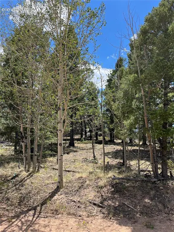 506 Castle Mountain Drive, Guffey, CO 80820 - #1