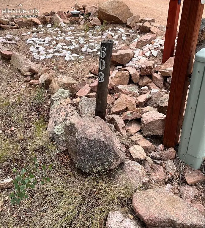 506 Castle Mountain Drive, Guffey, CO 80820 - #3