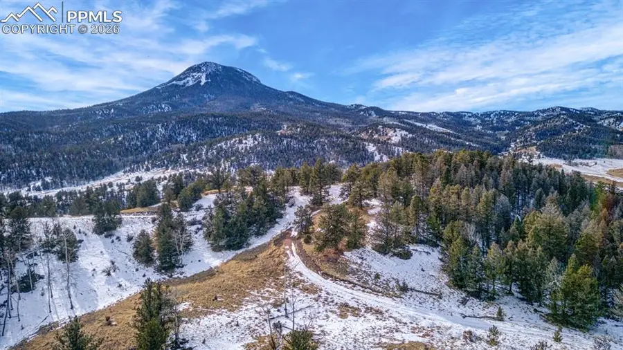 13 Buckhorn Trail, Guffey, CO 80820 - #3
