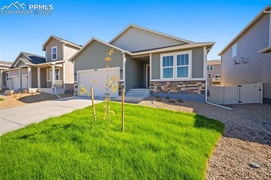 9148 Lanceleaf Drive, Colorado Springs, CO 80925 - #3