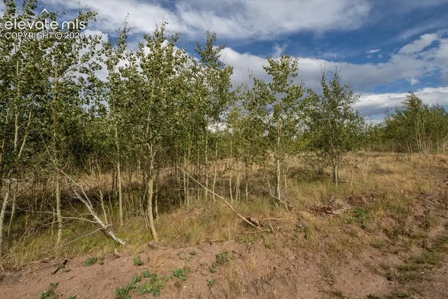 Lot 1316 Biaggini Lane, Fort Garland, CO 81133 - #2