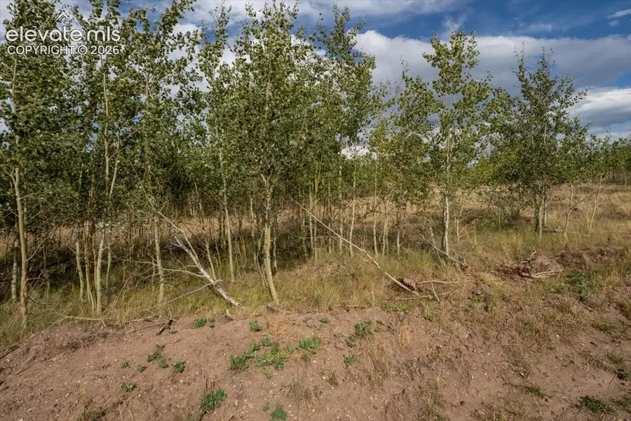 Lot 1316 Biaggini Lane, Fort Garland, CO 81133 - #3