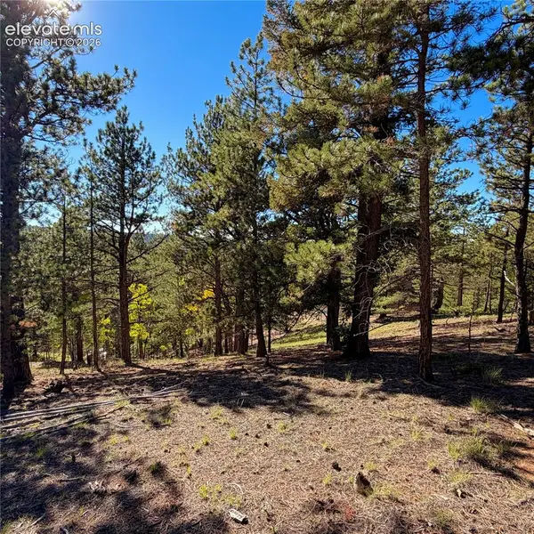 31 Pike View Circle, Divide, CO 80814