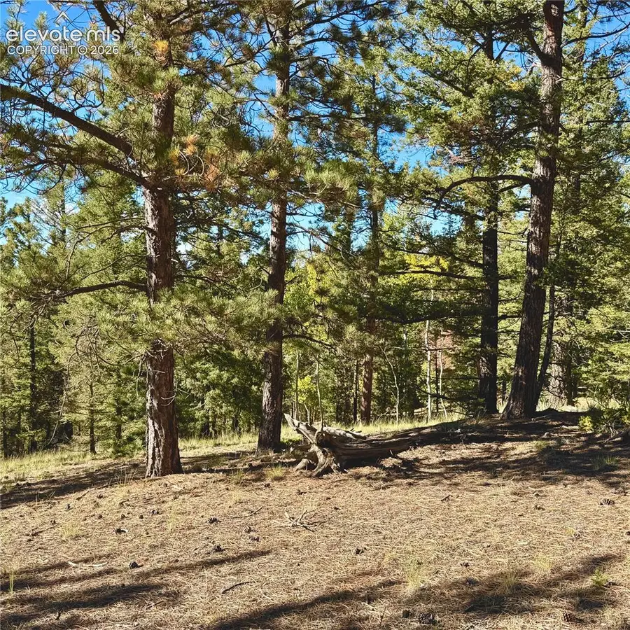 31 Pike View Circle, Divide, CO 80814 - #3