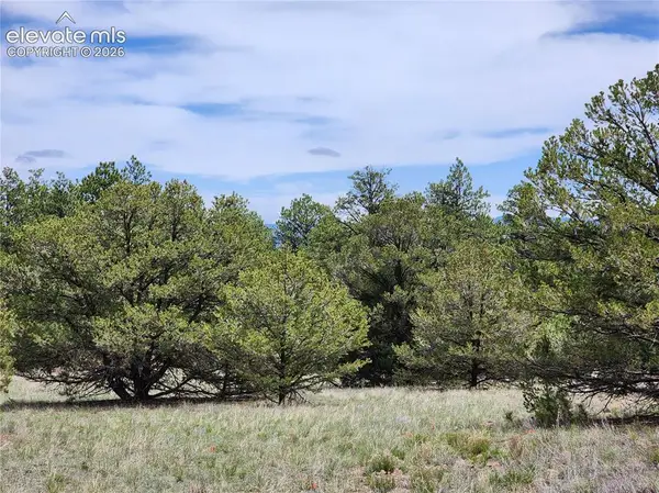 000 7th Trail, Cotopaxi, CO 81223