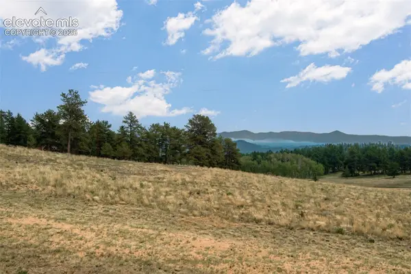 954 County Road 403, Guffey, CO 80820