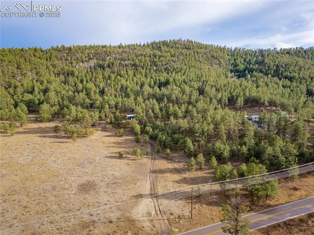 842 County Road 112, Florissant, CO 80816 - #1