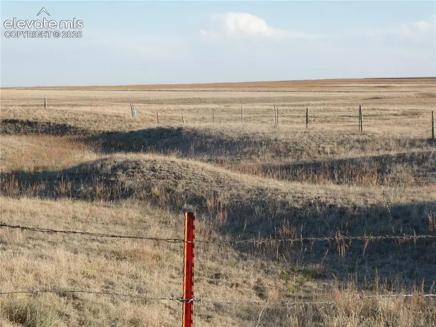 33677 Big Springs Road, Yoder, CO 80864 - #2