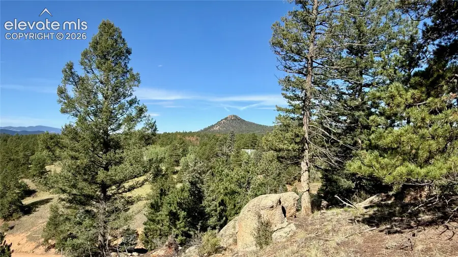 196 Beaver Creek Circle, Florissant, CO 80816 - #2