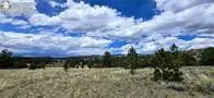 TBDLot 156 Crystal Falls Drive, Westcliffe, CO 81252 - #1