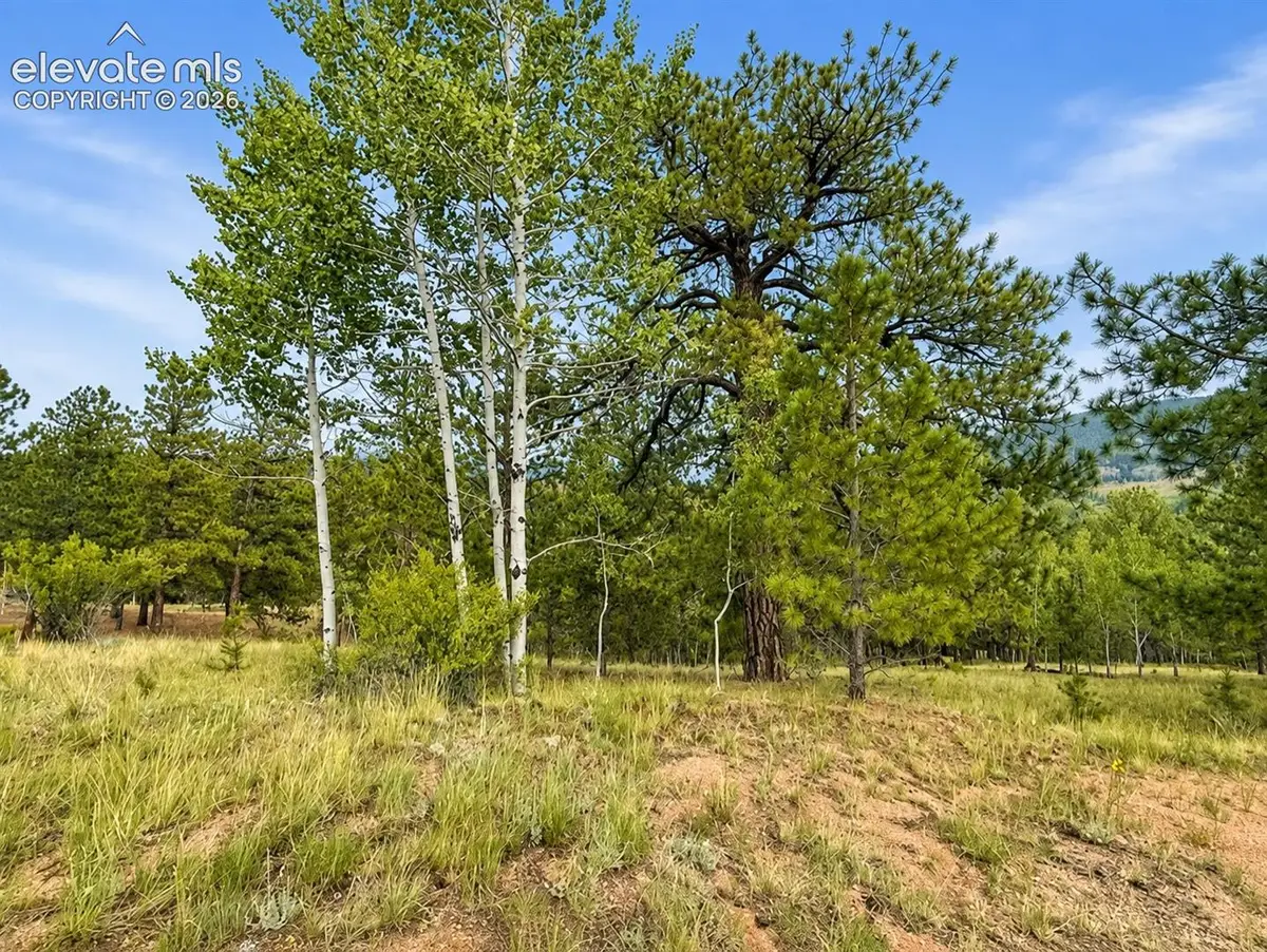 88 May Queen Way, Cripple Creek, CO 80813 - #1
