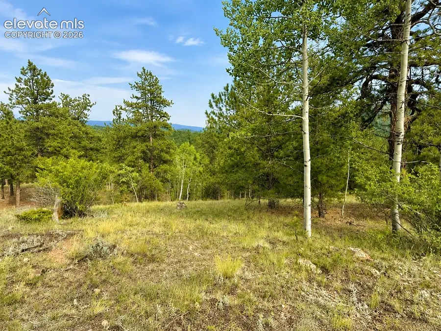 88 May Queen Way, Cripple Creek, CO 80813 - #2