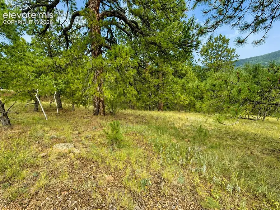 88 May Queen Way, Cripple Creek, CO 80813 - #3