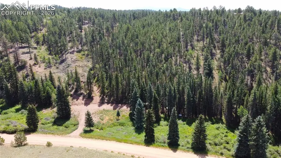 1570 Pathfinder Road, Florissant, CO 80816 - #3