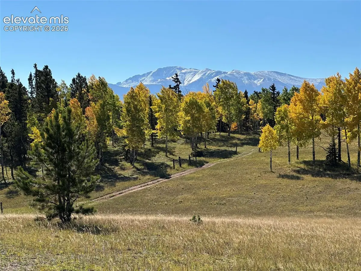 2940 North Road, Divide, CO 80814 - #1