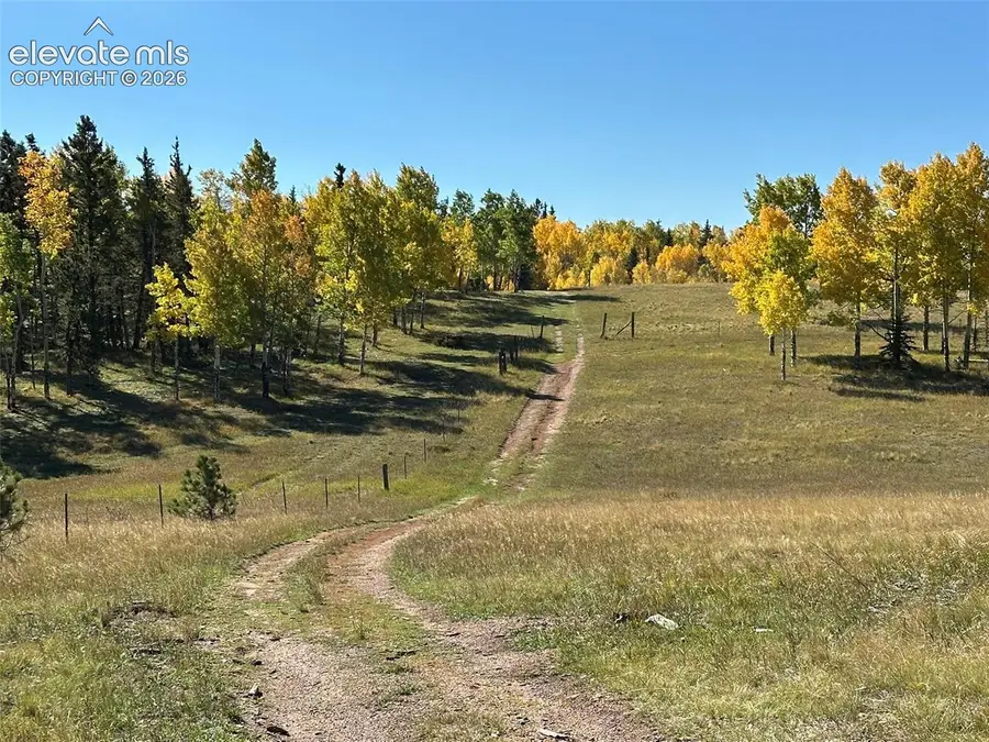 2940 North Road, Divide, CO 80814 - #3