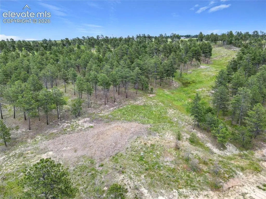 14863 Bourbon Court, Colorado Springs, CO 80908 - #1