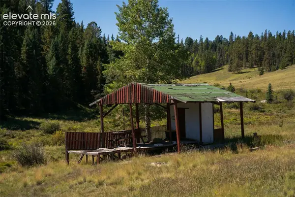 101 Navajo Circle, Divide, CO 80814