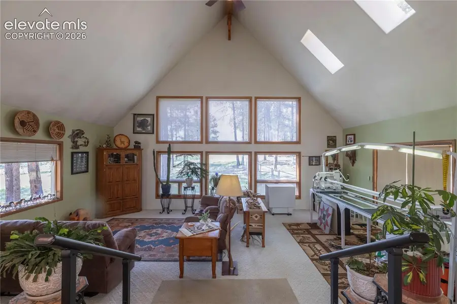 187 Arrowrock Circle, Florissant, CO 80816 - #3