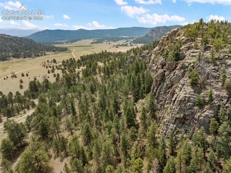 1137 County Road 111, Florissant, CO 80816 - #2