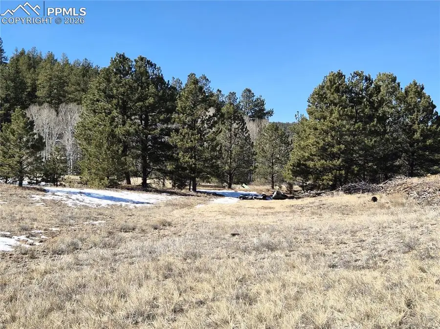 38340 Highway 24, Lake George, CO 80827 - #3