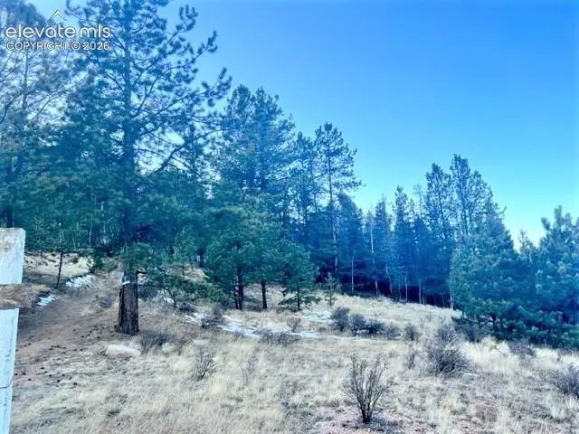 233 Rabbil Creek Drive, Florissant, CO 80816 - #1