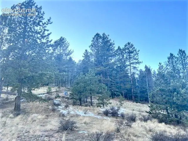 233 Rabbil Creek Drive, Florissant, CO 80816 - #2