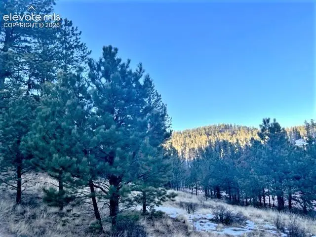 233 Rabbil Creek Drive, Florissant, CO 80816 - #3
