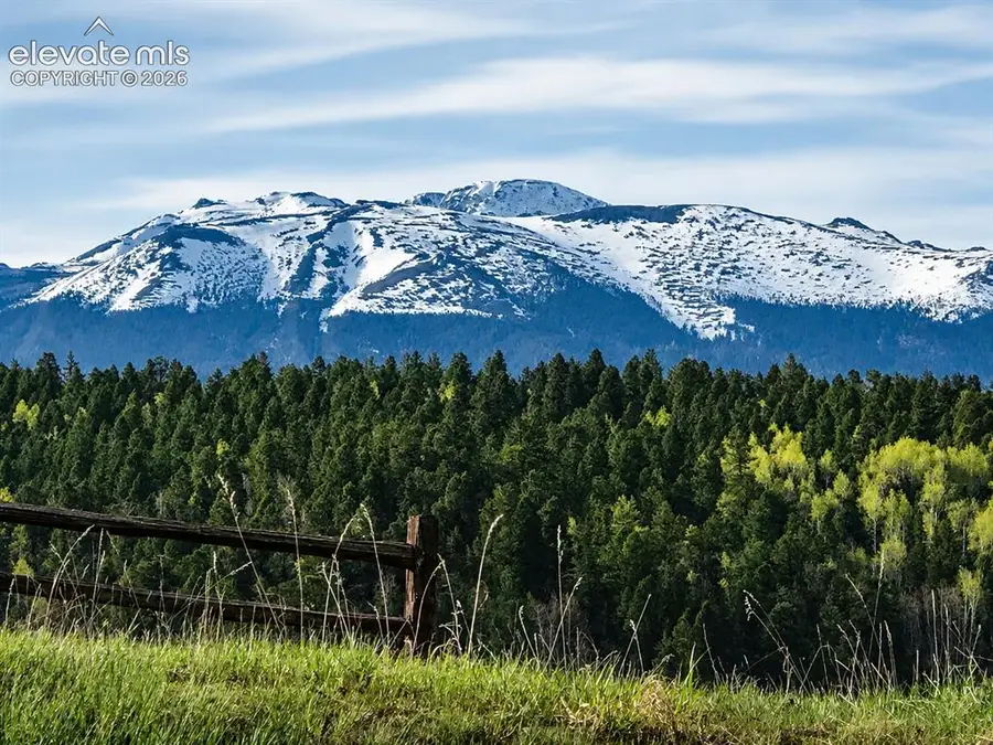 355 Maroon Lake Circle, Divide, CO 80814 - #2
