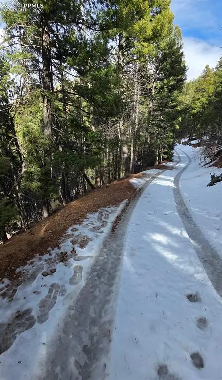 157 Gitchigoomee Trail, Woodland Park, CO 80863 - #3