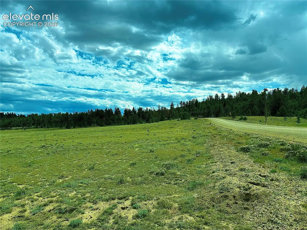 3984 Elkhorn Road, Hartsel, CO 80449 - #1