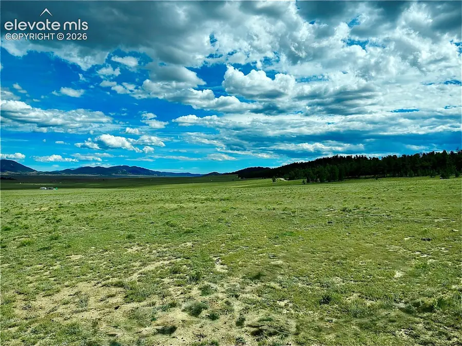 3984 Elkhorn Road, Hartsel, CO 80449 - #2