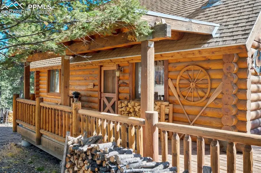 70 Cheesman Lake Circle, Divide, CO 80814 - #2