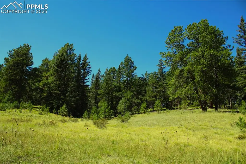 6500 County Road 5, Divide, CO 80814 - #1