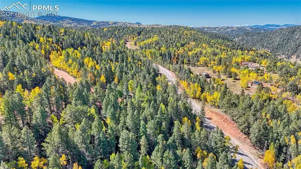 959 Calcite Drive, Divide, CO 80814