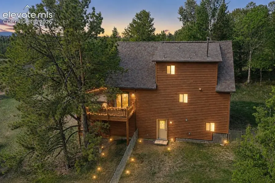 81 Pamona Lake Drive, Divide, CO 80814 - #2