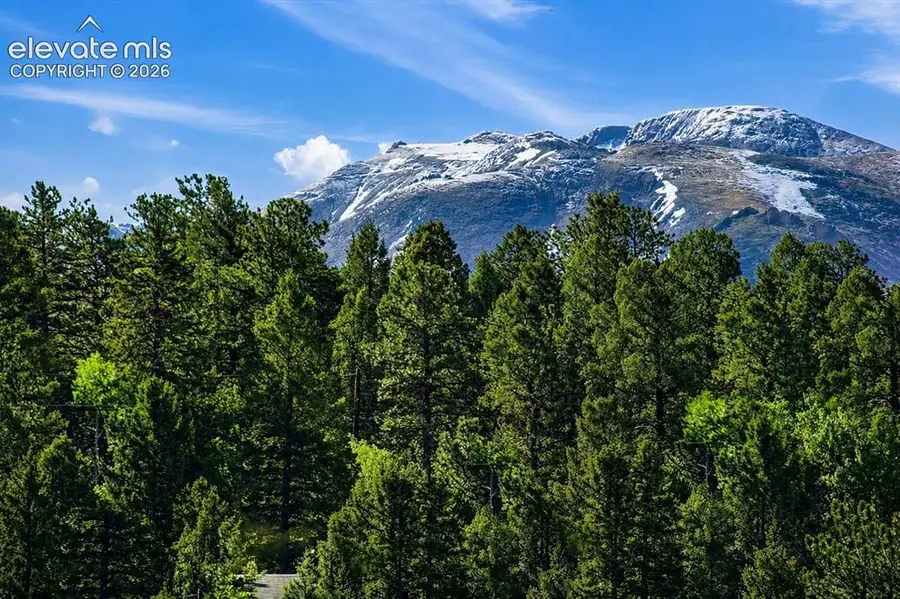 81 Pamona Lake Drive, Divide, CO 80814 - #3