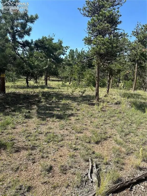 315 Thunder Ridge Road, Florissant, CO 80816 - #2