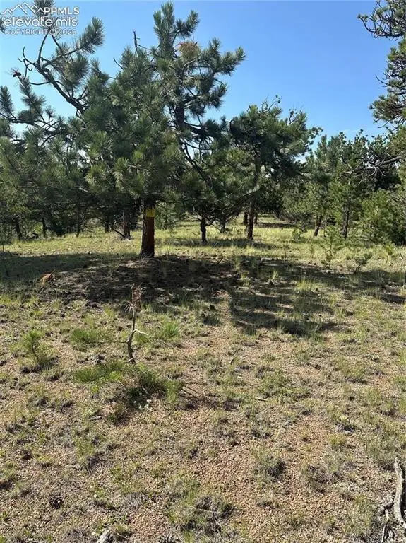 315 Thunder Ridge Road, Florissant, CO 80816 - #3
