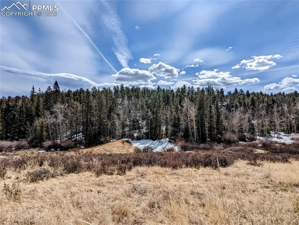 1620 Park Ridge Drive, Guffey, CO 80820 - #1